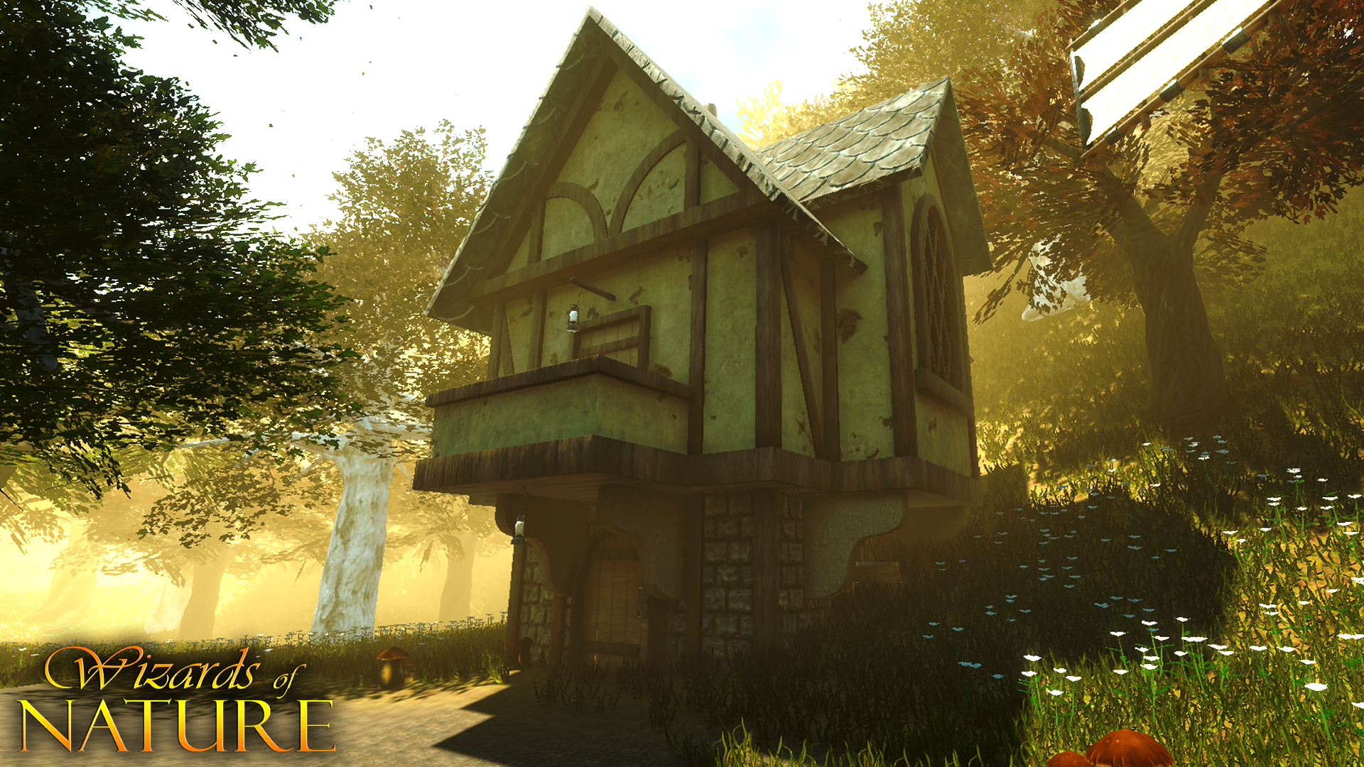 Wizards of Nature - Screenshot 5