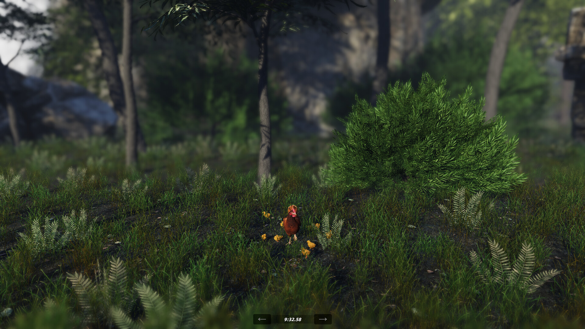 Unlucky Chicken - Screenshot 3