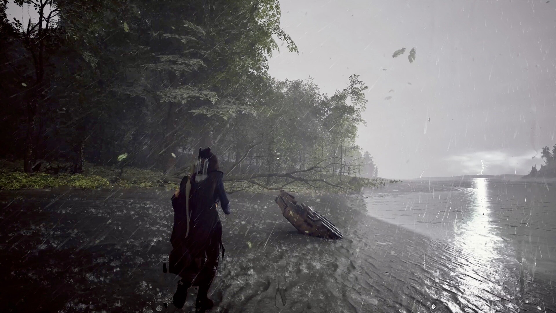 Fire: The First Dreamer - Screenshot 3