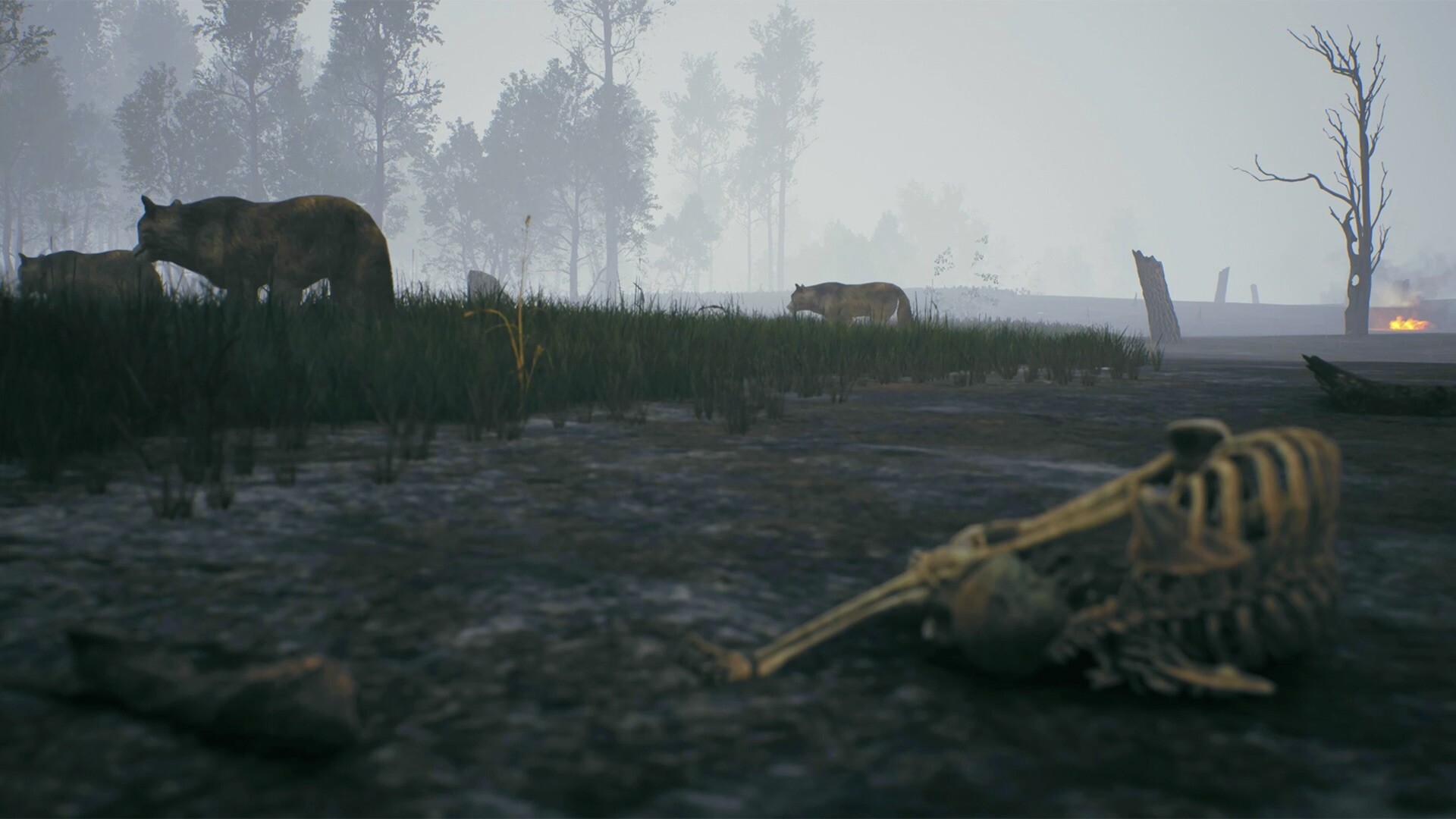 Fire: The First Dreamer - Screenshot 7