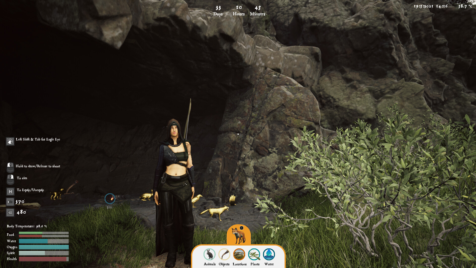 Fire: The First Dreamer - Screenshot 9