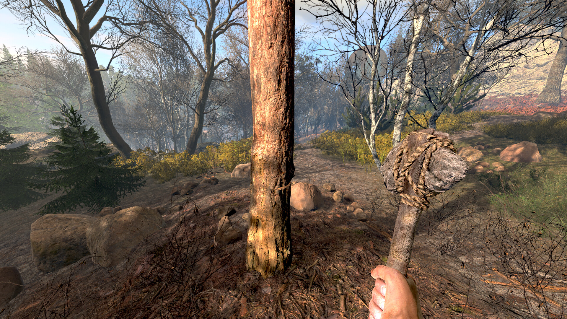 RimFolk - Screenshot 2