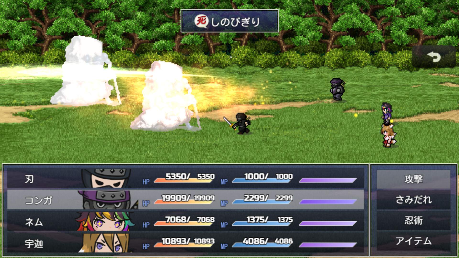 Crypto Fantasy: The Scrolls of Kouga - Screenshot 3