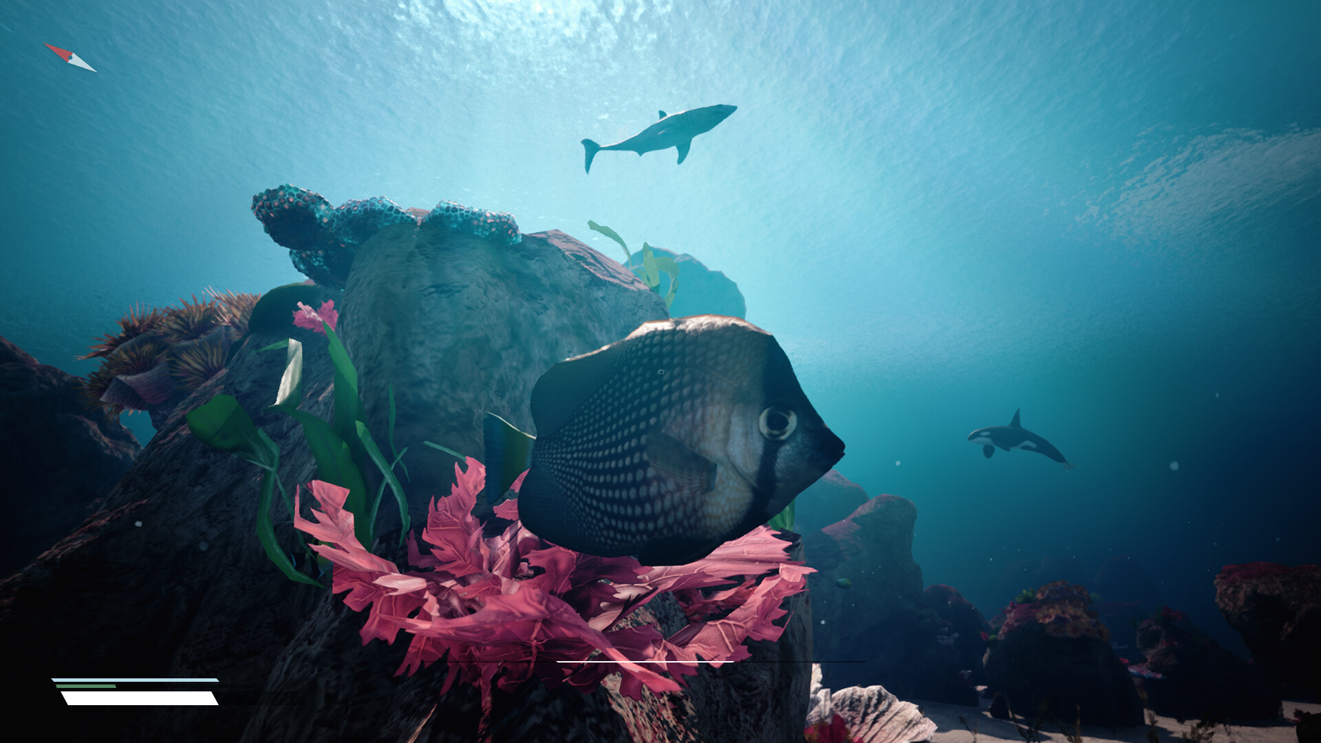 Infinite Blue - Screenshot 1