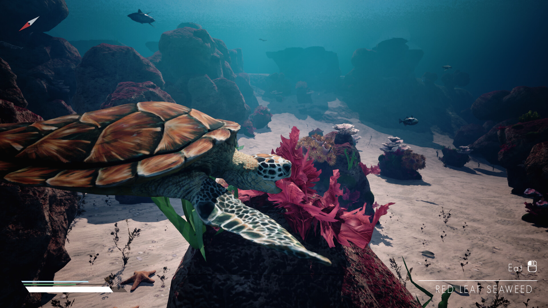 Infinite Blue - Screenshot 4