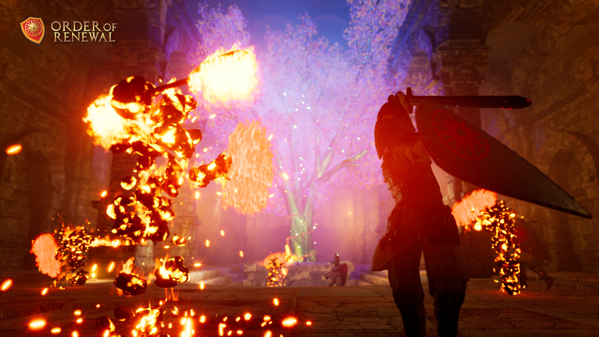 Order of Renewal - Screenshot 6