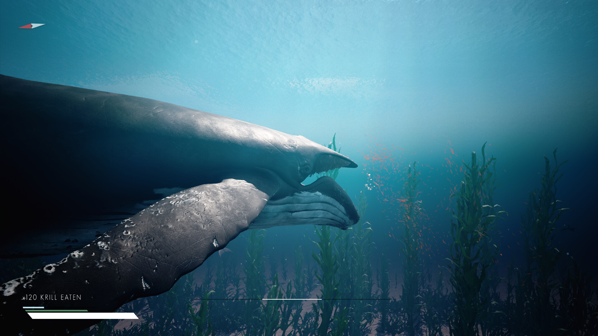 Infinite Blue - Screenshot 3