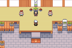 Pokémon Emerald Horizons - Screenshot 2