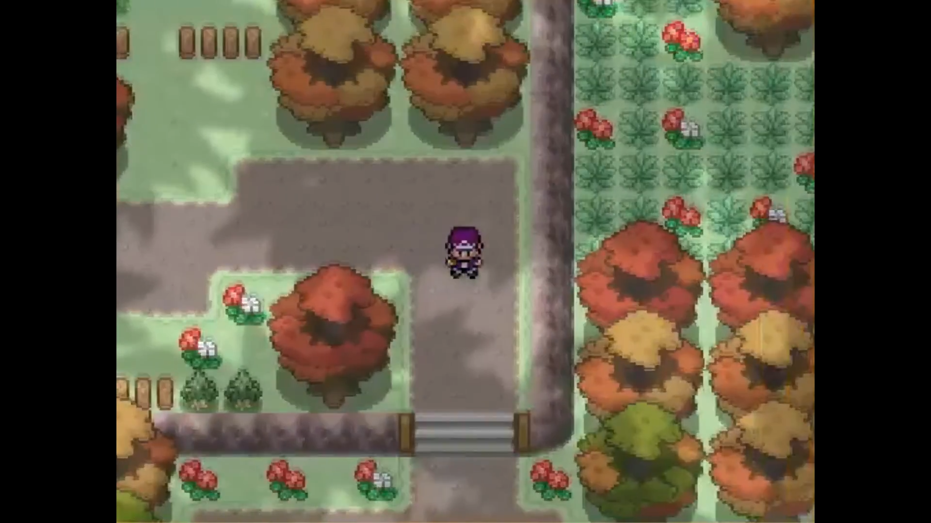 Pokemon Alchemist - Screenshot 1