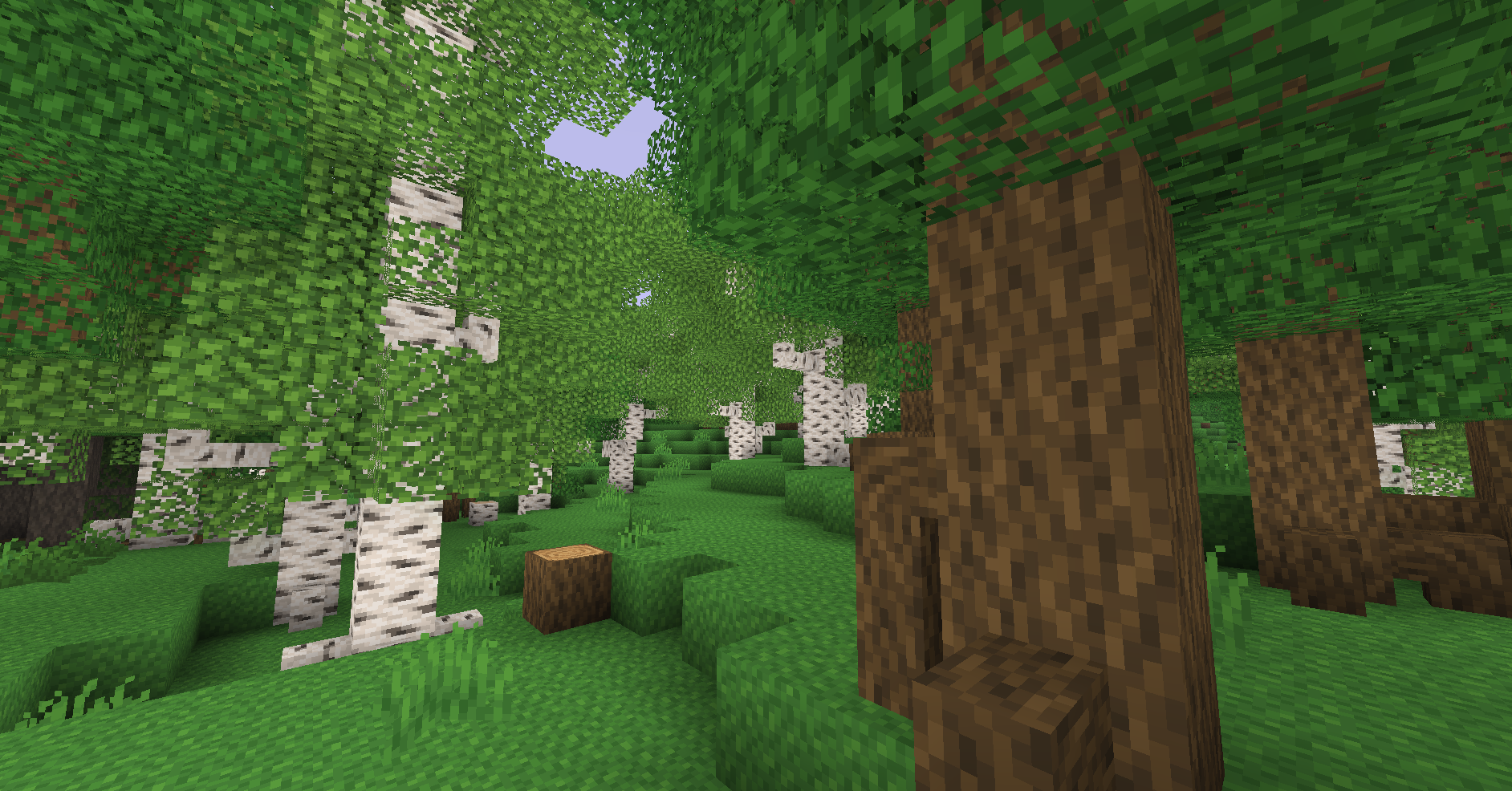 Cubyz - Screenshot 4