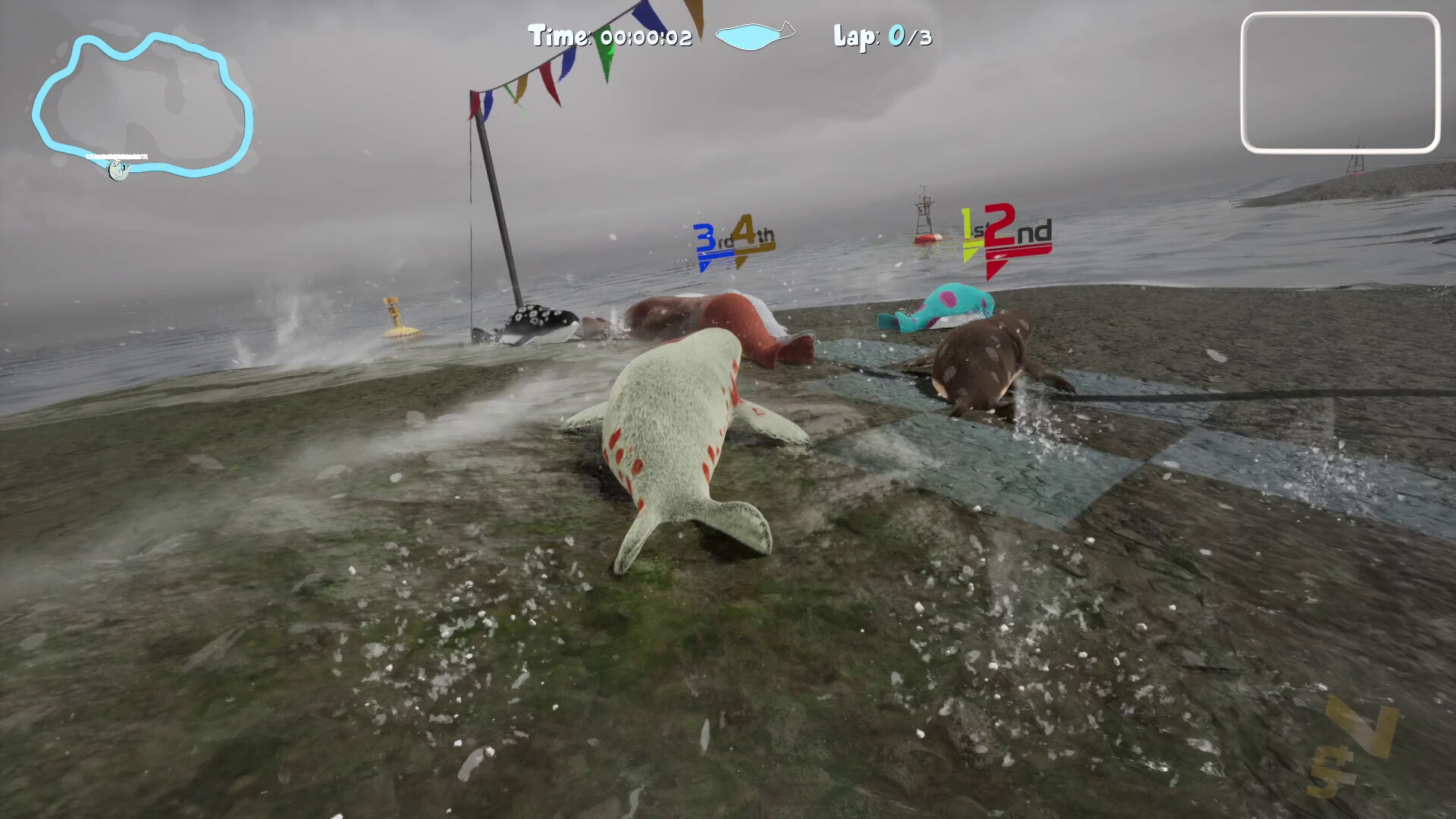 Asset 12