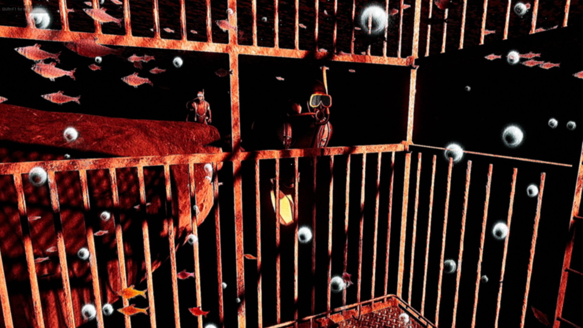 Asset 13