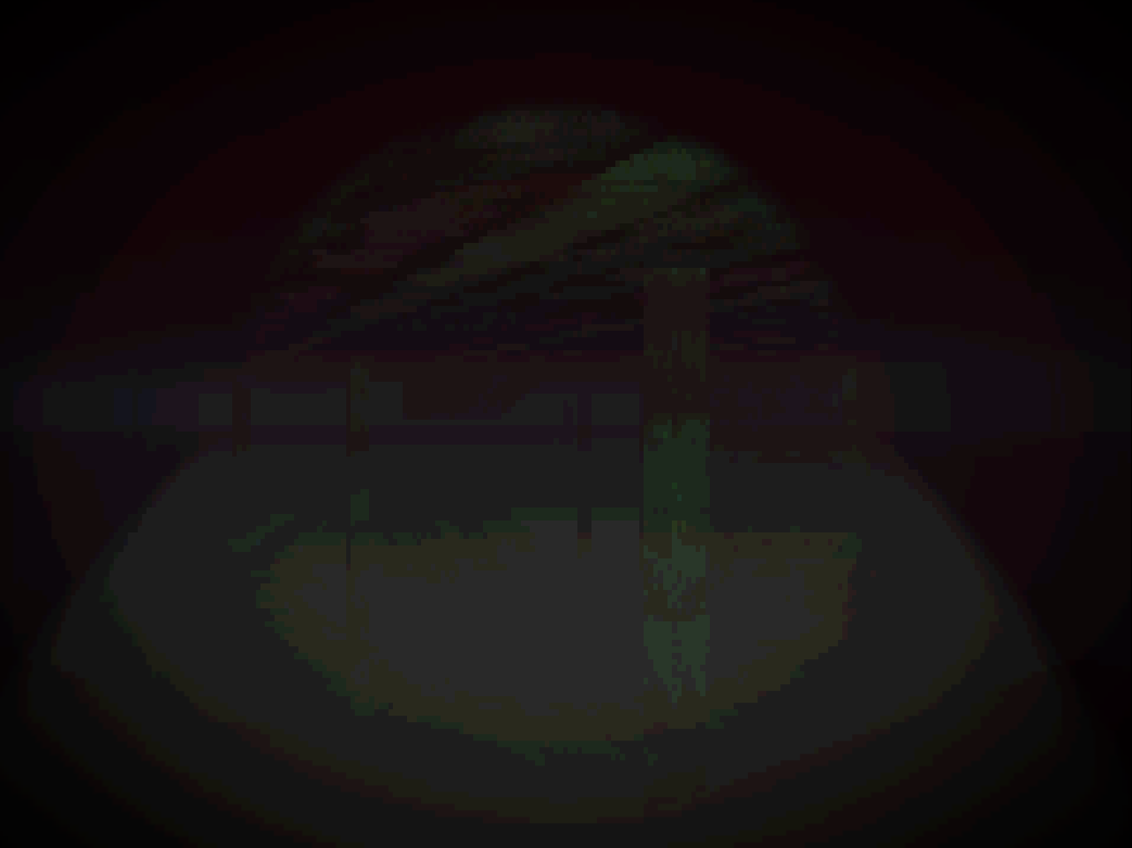 Asset 6