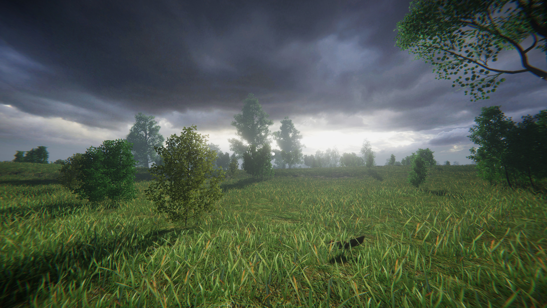 Simulyator Odinochestva V Russkoy Derevne - Screenshot 28