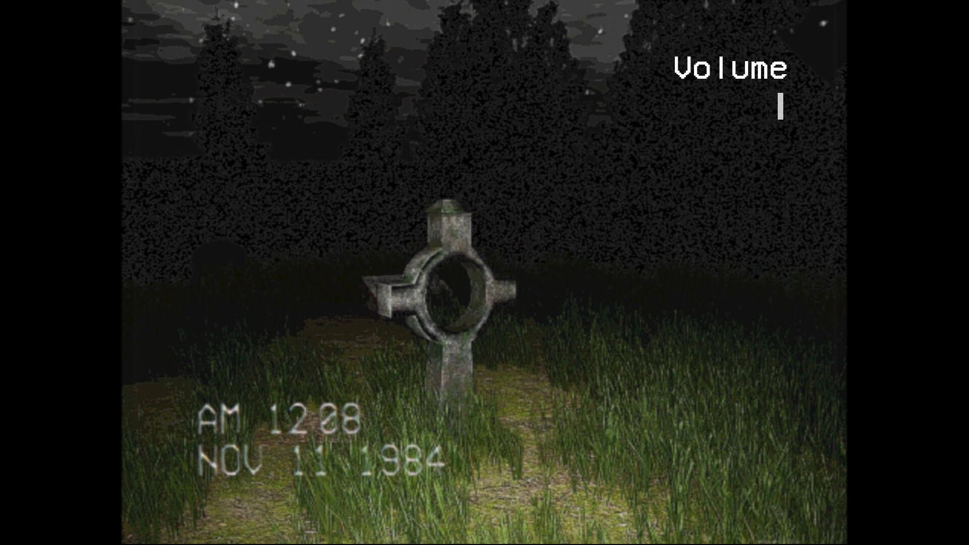 The Silent Witness - Screenshot 3