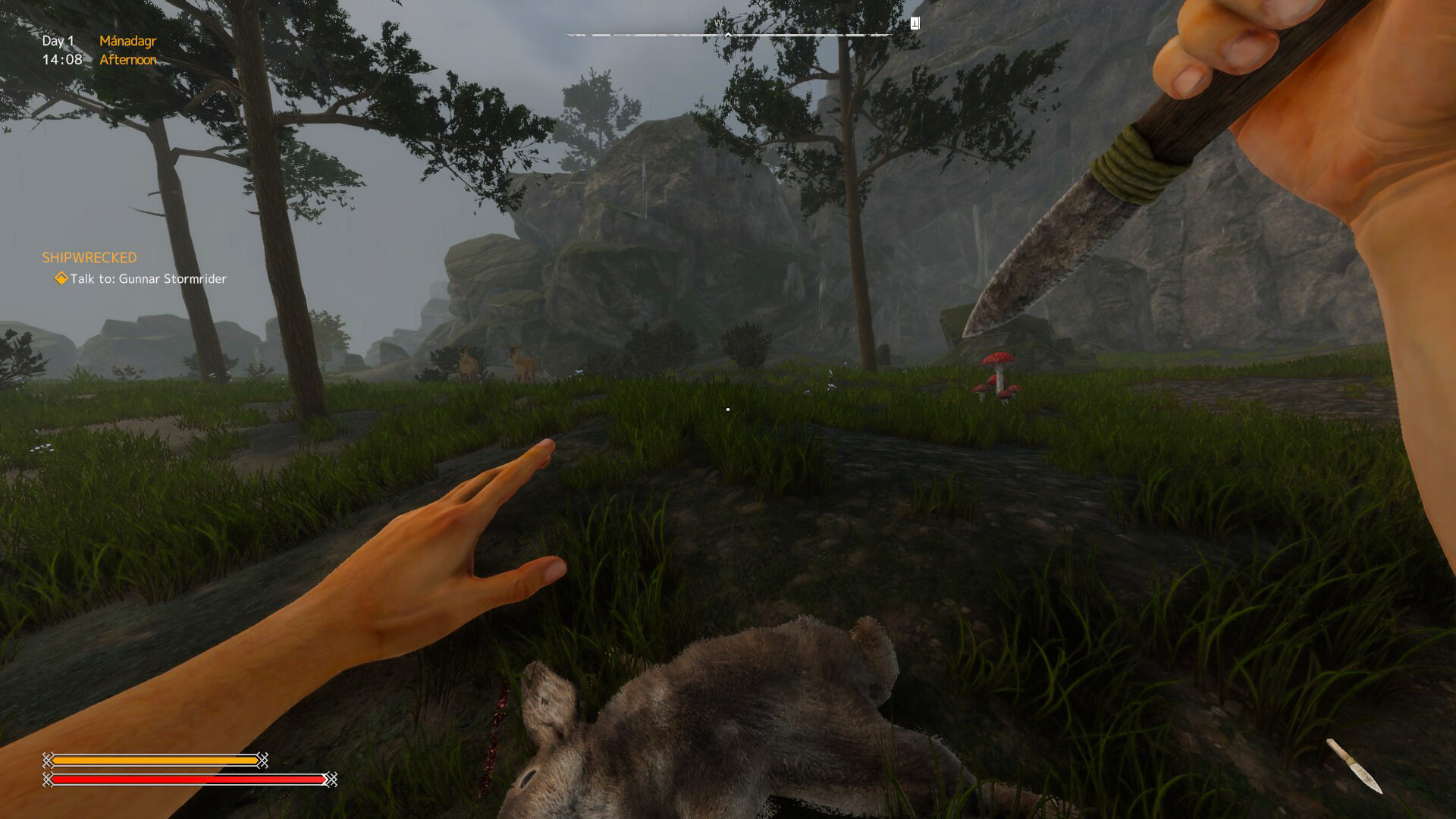 Viking Frontiers - Screenshot 9