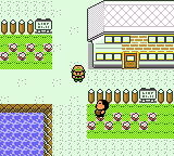 Pokémon Celebrations - Screenshot 9