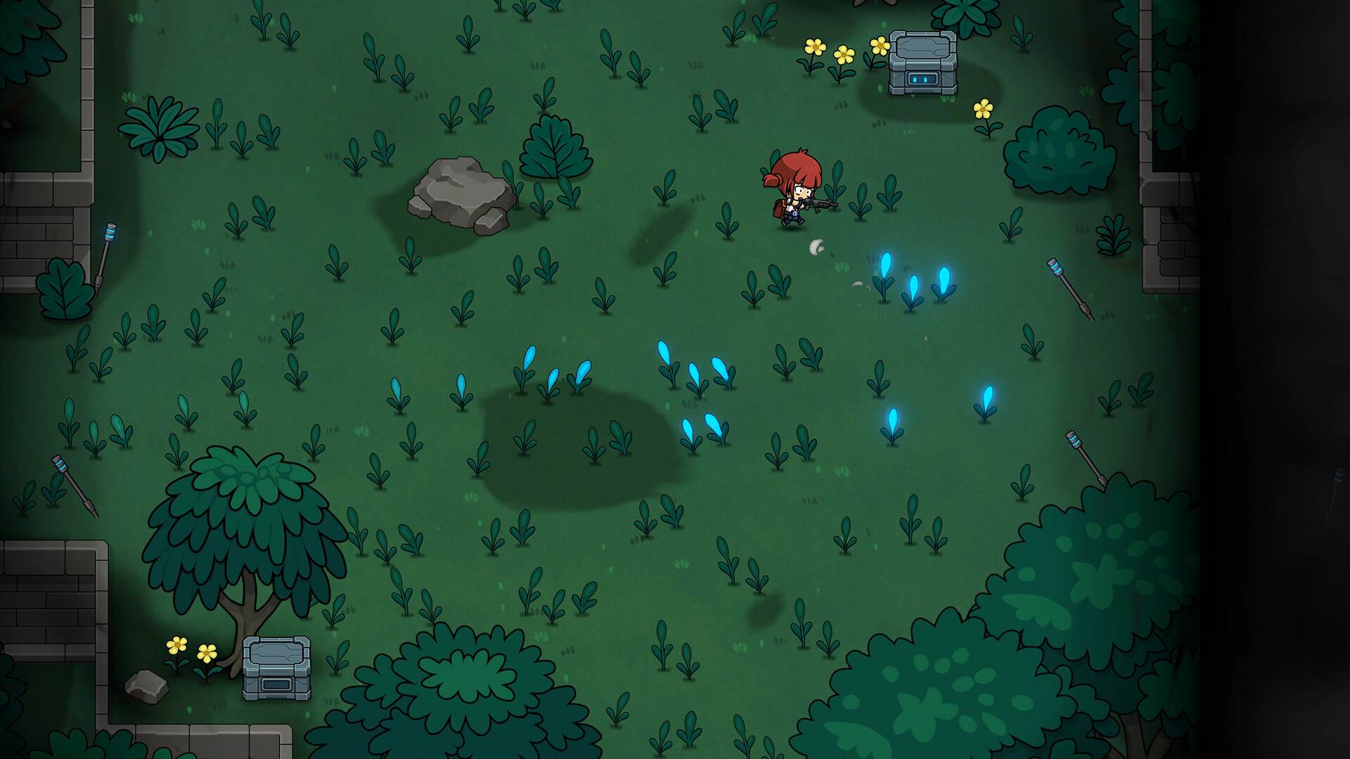 Seed 2313 - Screenshot 1