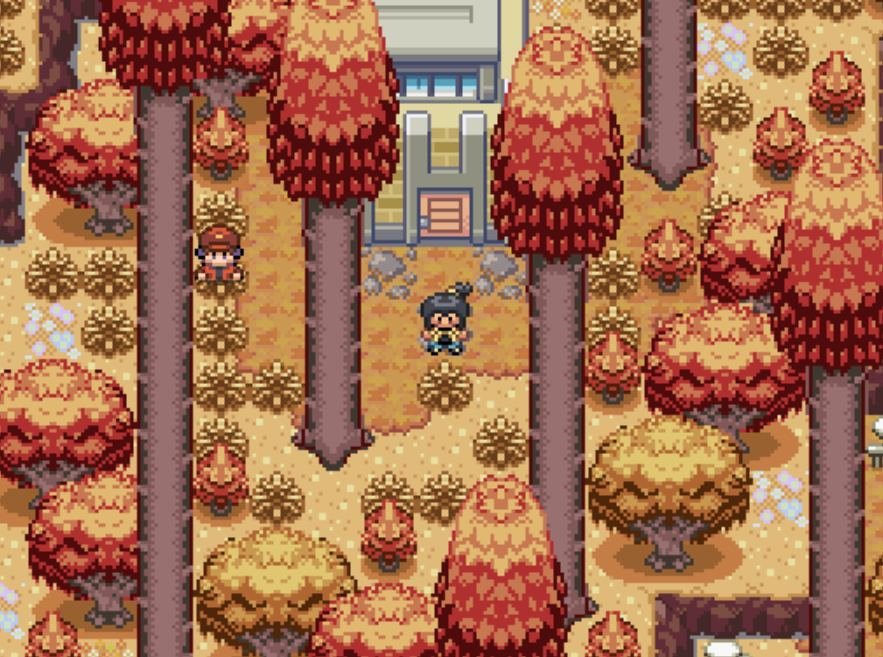 Pokémon Potassium - Screenshot 9