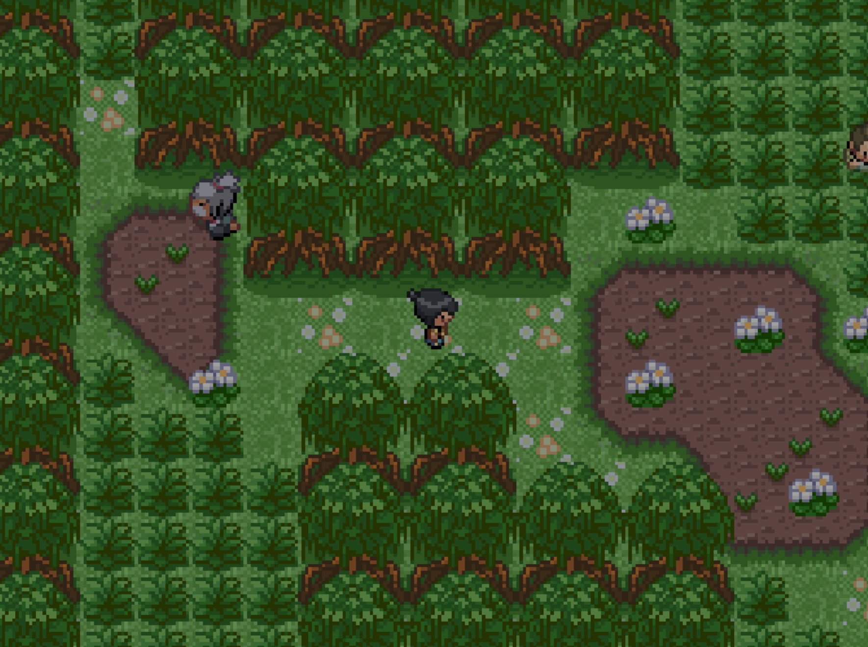 Pokémon Potassium - Screenshot 2