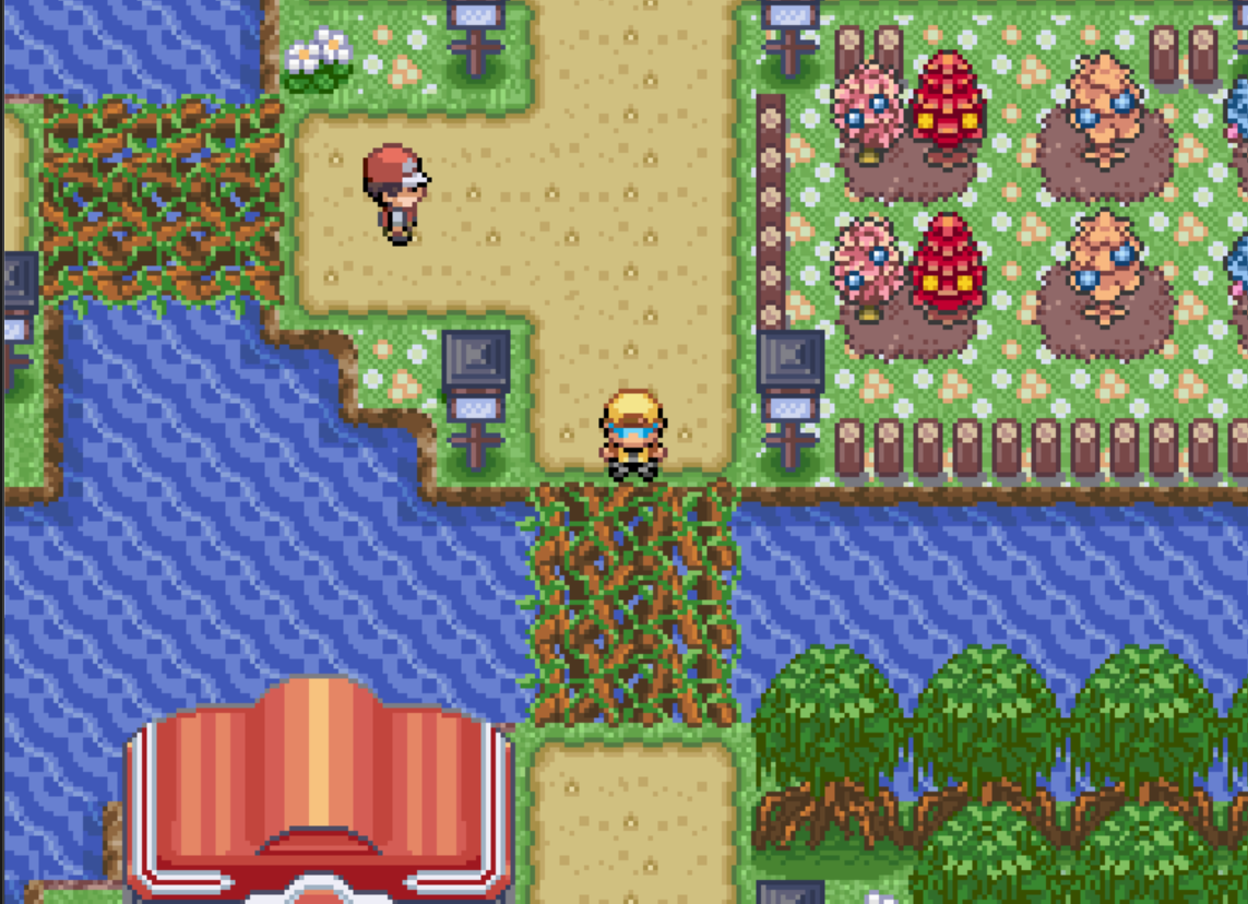 Pokémon Potassium - Screenshot 11