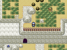 Pokémon Ruckus - Screenshot 5