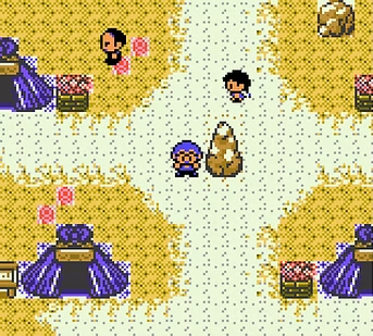 Pokémon Glacial Chronicles - Screenshot 2