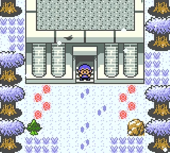 Pokémon Glacial Chronicles - Screenshot 3