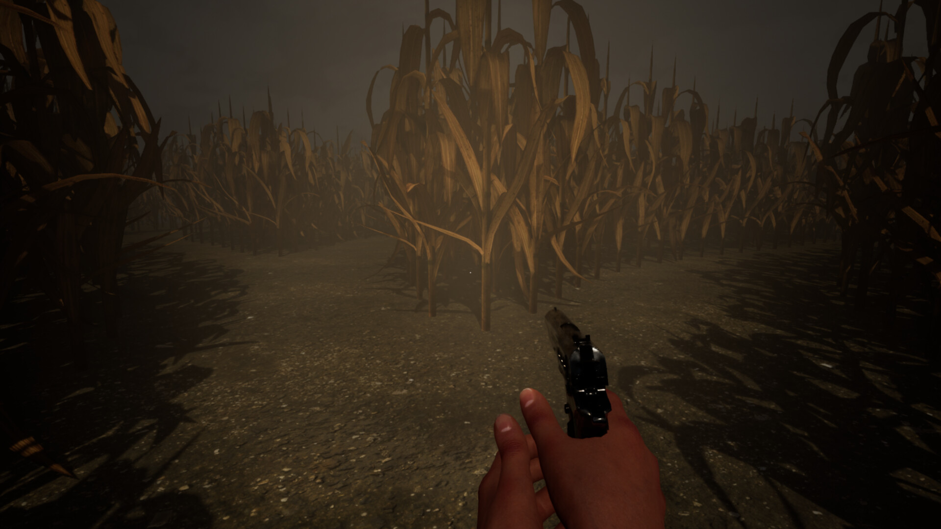 The Corn Maze: Rebirth - Screenshot 1