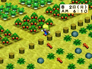 Harvest Moon for Girl - Screenshot 5