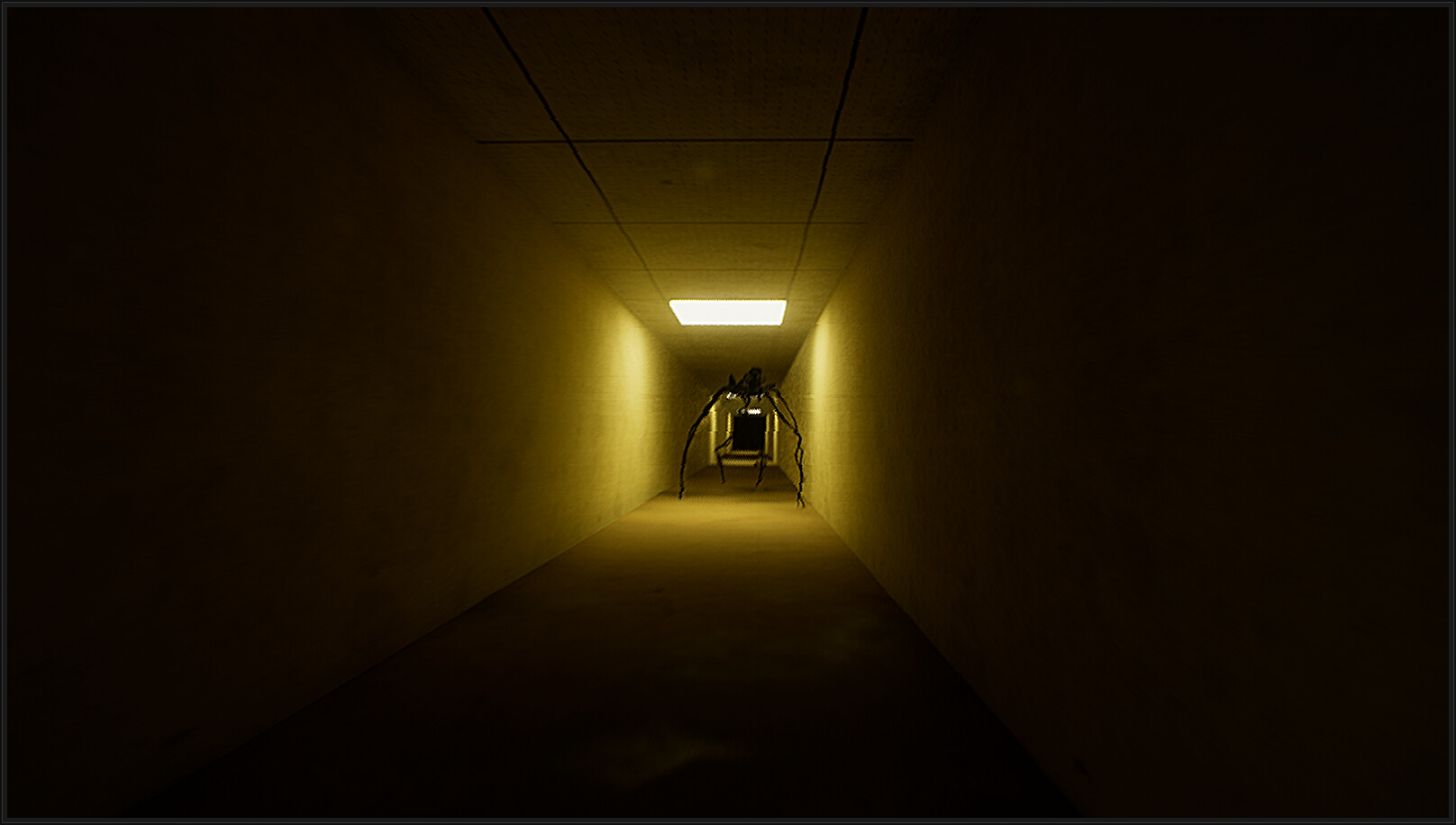 Asset 9