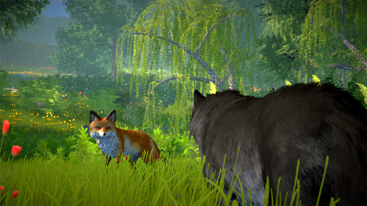 Wolf Simulator 2025: Wild RPG Survival - Screenshot 2