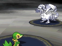 Pokémon Black Version - Screenshot 10