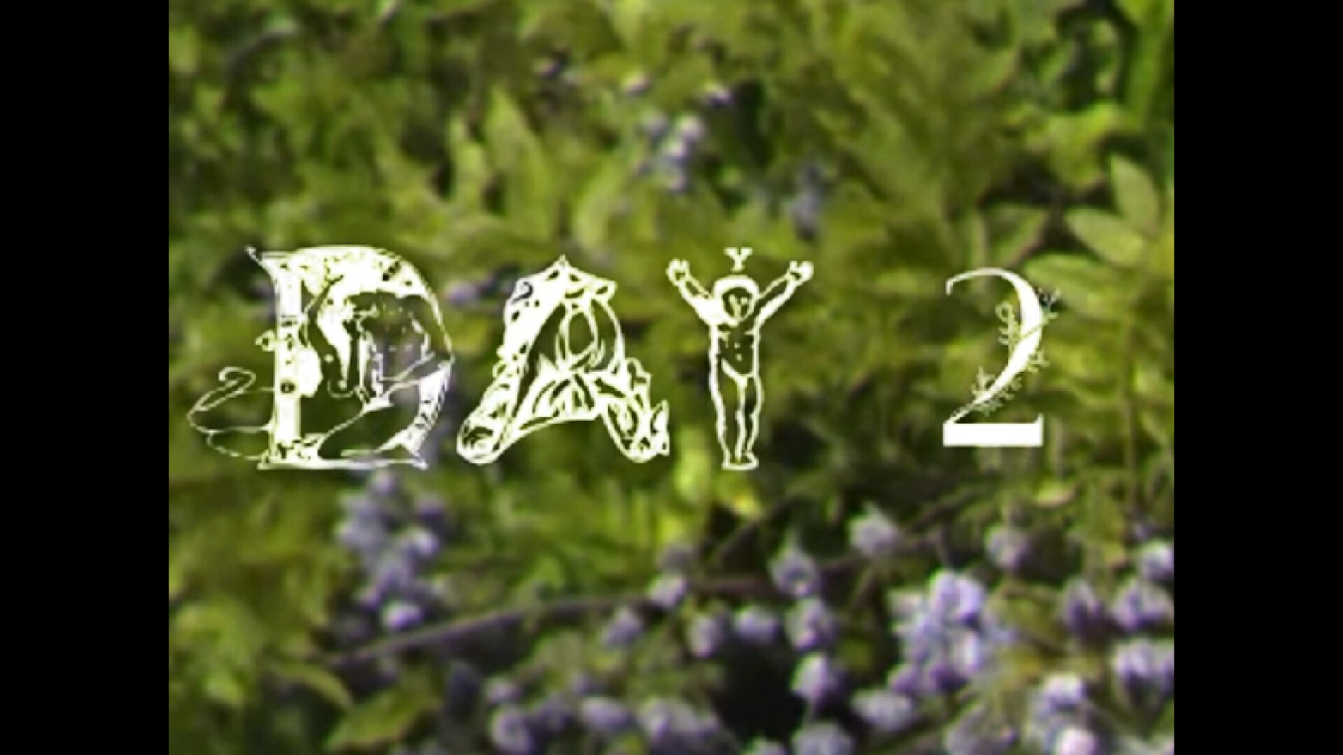 Birdhouse - Screenshot 5