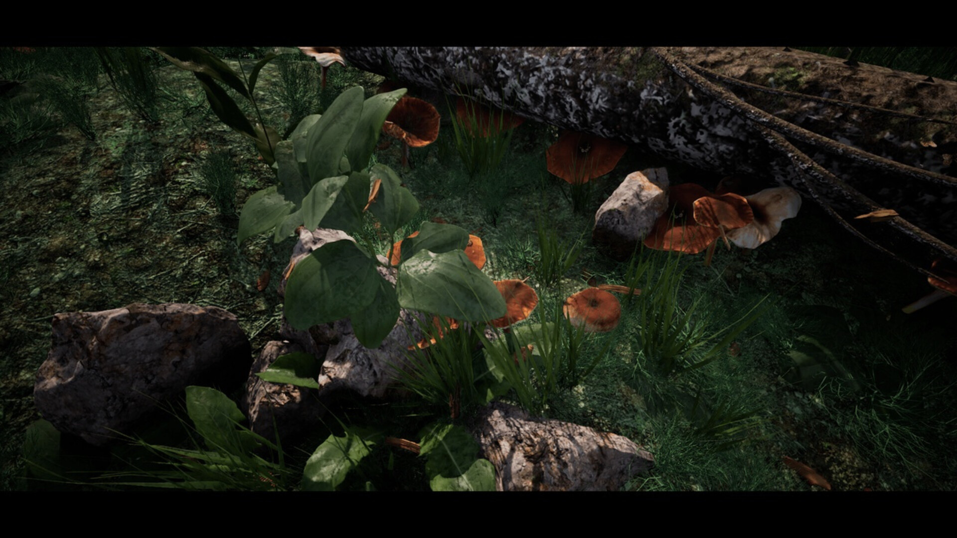 Soilborn: Ant Empire - Screenshot 2