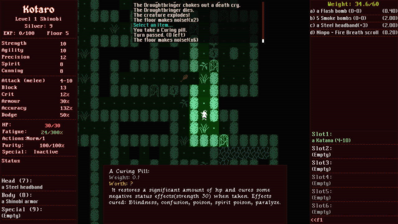 Shadowed: The Demon Castle of Ooe - Screenshot 6