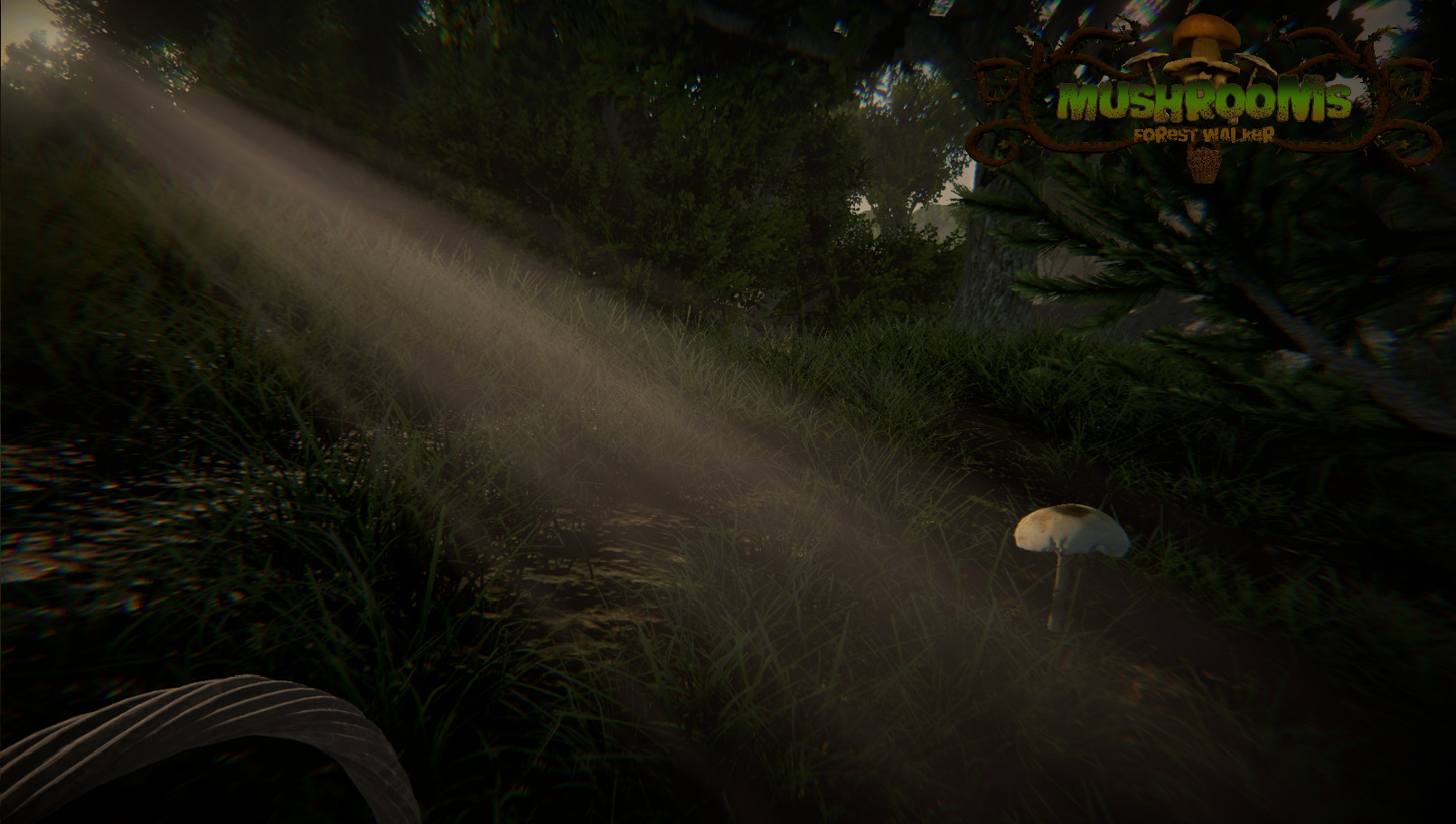 Mushrooms: Forest Walker - Screenshot 3
