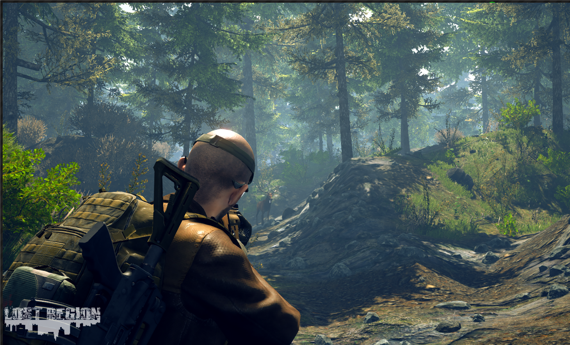 Lost Region - Screenshot 1