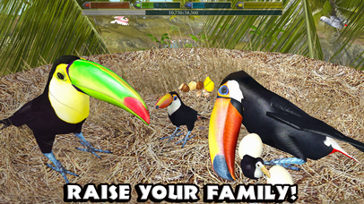 Ultimate Bird Simulator - Screenshot 7