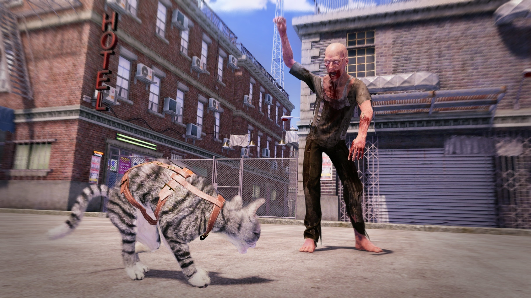 Max and Maya: Cat simulator - Screenshot 2
