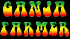 Game cover: Ganja Farmer