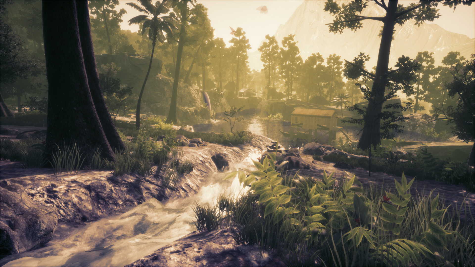 Game Background