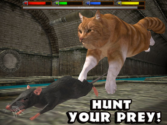 Ultimate Cat Simulator - Screenshot 1