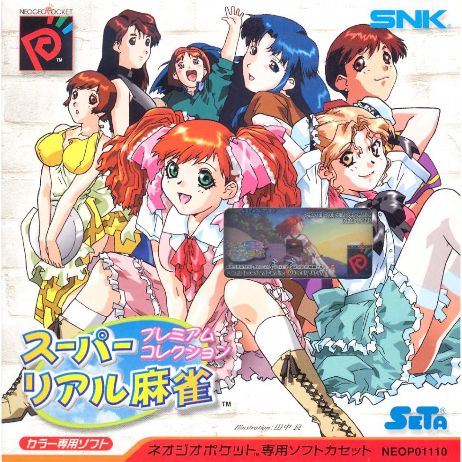 Game cover: Super Real Mahjong: Premium Collection
