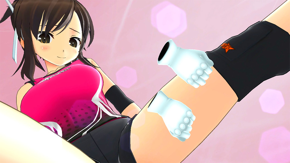 Senran Kagura Reflexions  Destructoid Review 