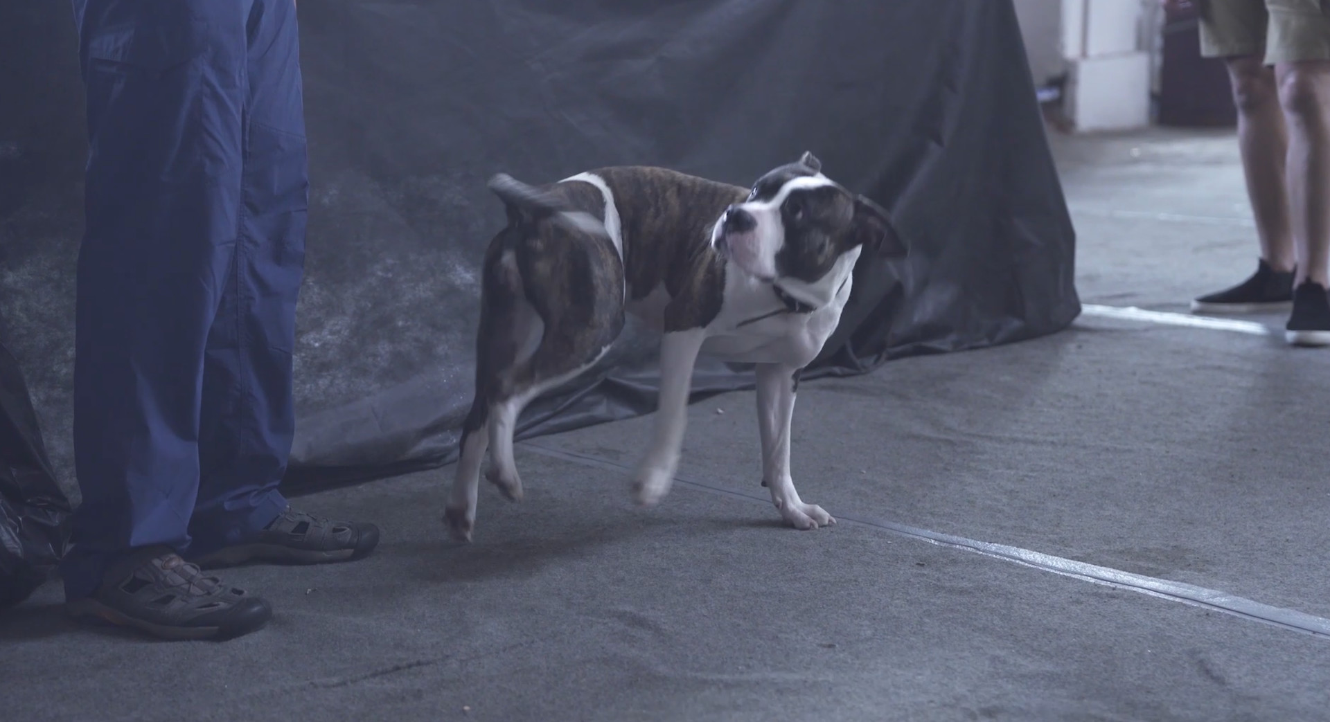 Super Seducer 3 - Screenshot 7