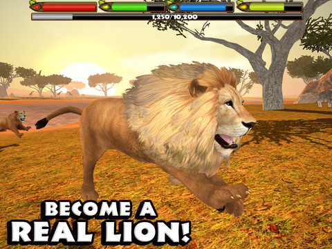 Ultimate Lion Simulator - Screenshot 6