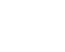 Blitzfront Game Studio logo