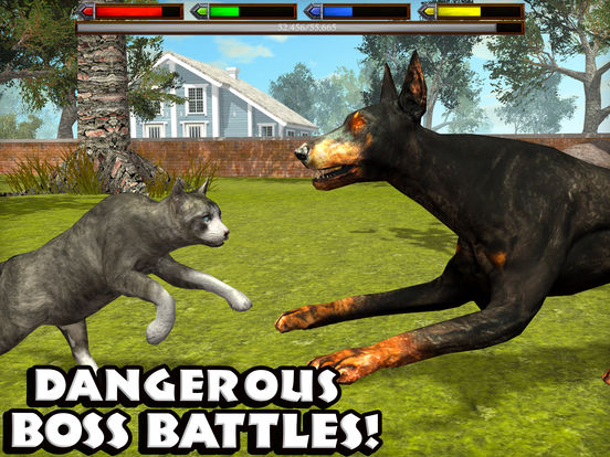 Ultimate Cat Simulator - Screenshot 3