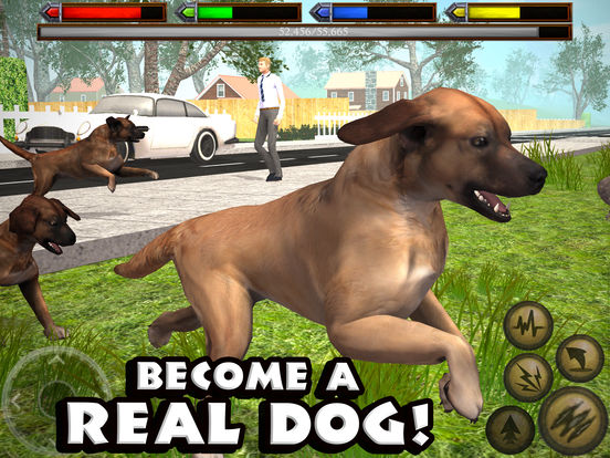 Ultimate Dog Simulator - Screenshot 1